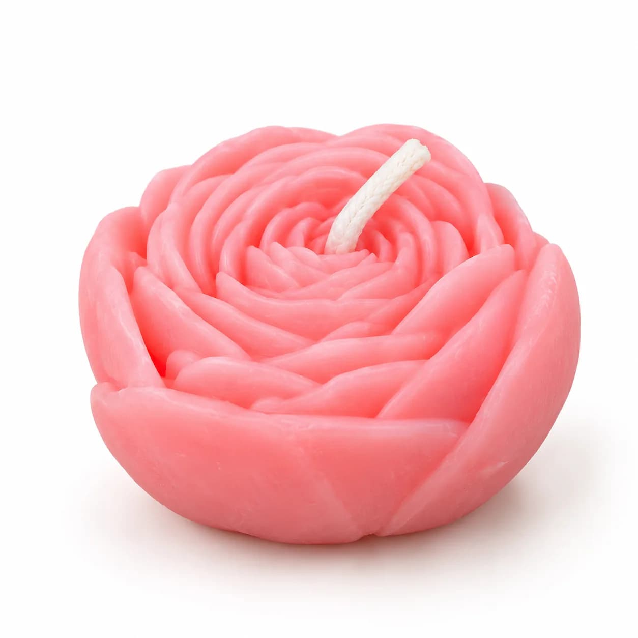 Budded Rose